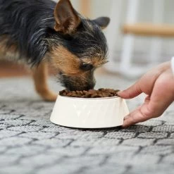 Frisco Hammered Melamine Stainless Steel Dog Bowl 10 Frisco Hammered Melamine Stainless Steel Dog Bowl -Frisco 232083 PT7. AC SS1800 V1692989464