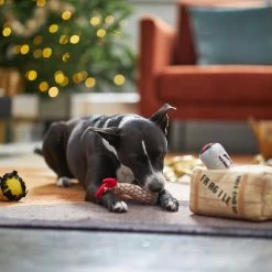 Frisco Holiday Fragile Box Hide & Seek Puzzle Plush Squeaky Dog Toy -Frisco 233274 PT4. AC SS1800 V1665759767