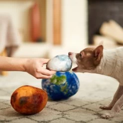 Frisco Earth, Mars, And Moon Plush Squeaky Dog Toy -Frisco 233587 PT3. AC SS1800 V1600973771