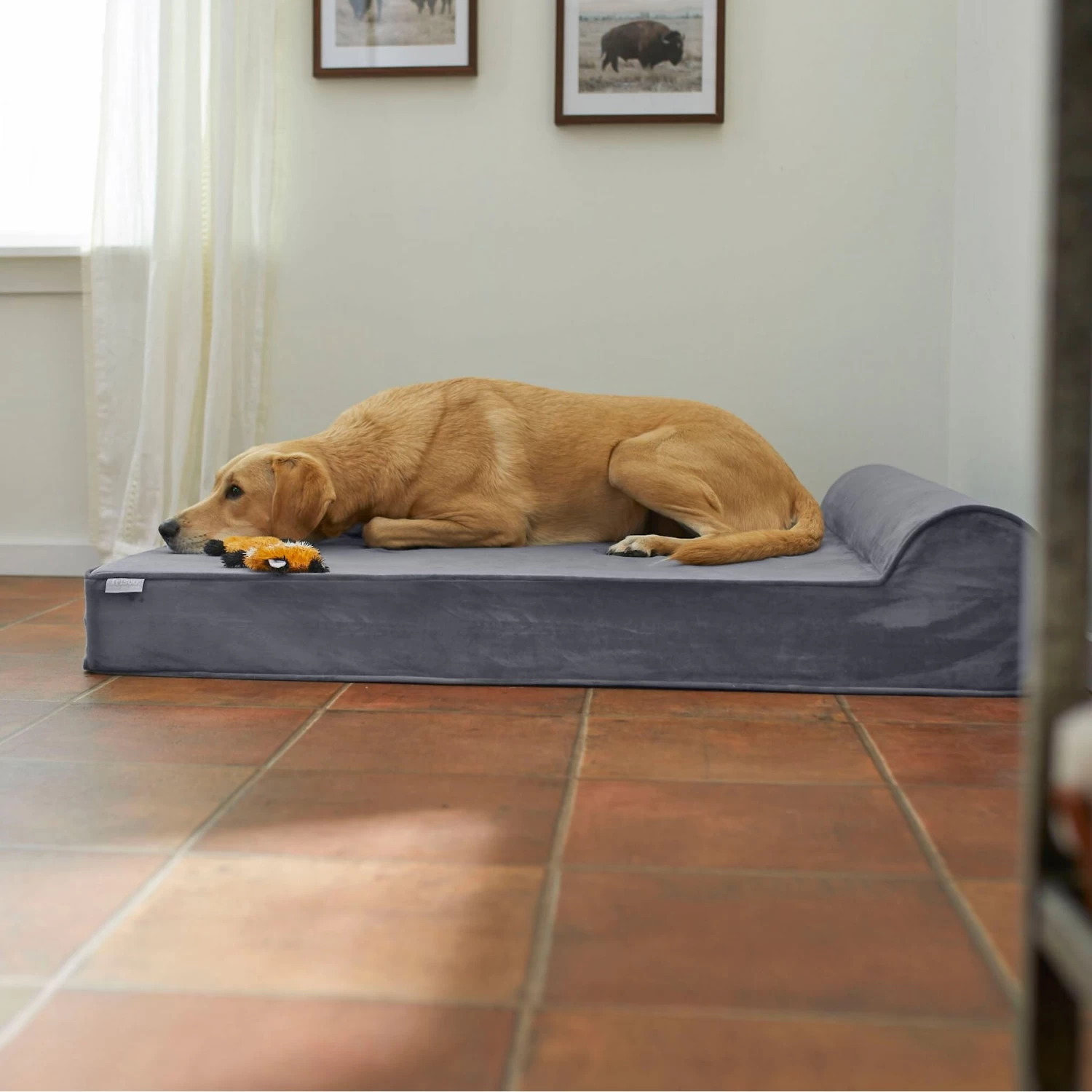 Frisco Orthopedic Chaise Pillow Dog Bed W/Removable Cover 1 Frisco Orthopedic Chaise Pillow Dog Bed W/Removable Cover