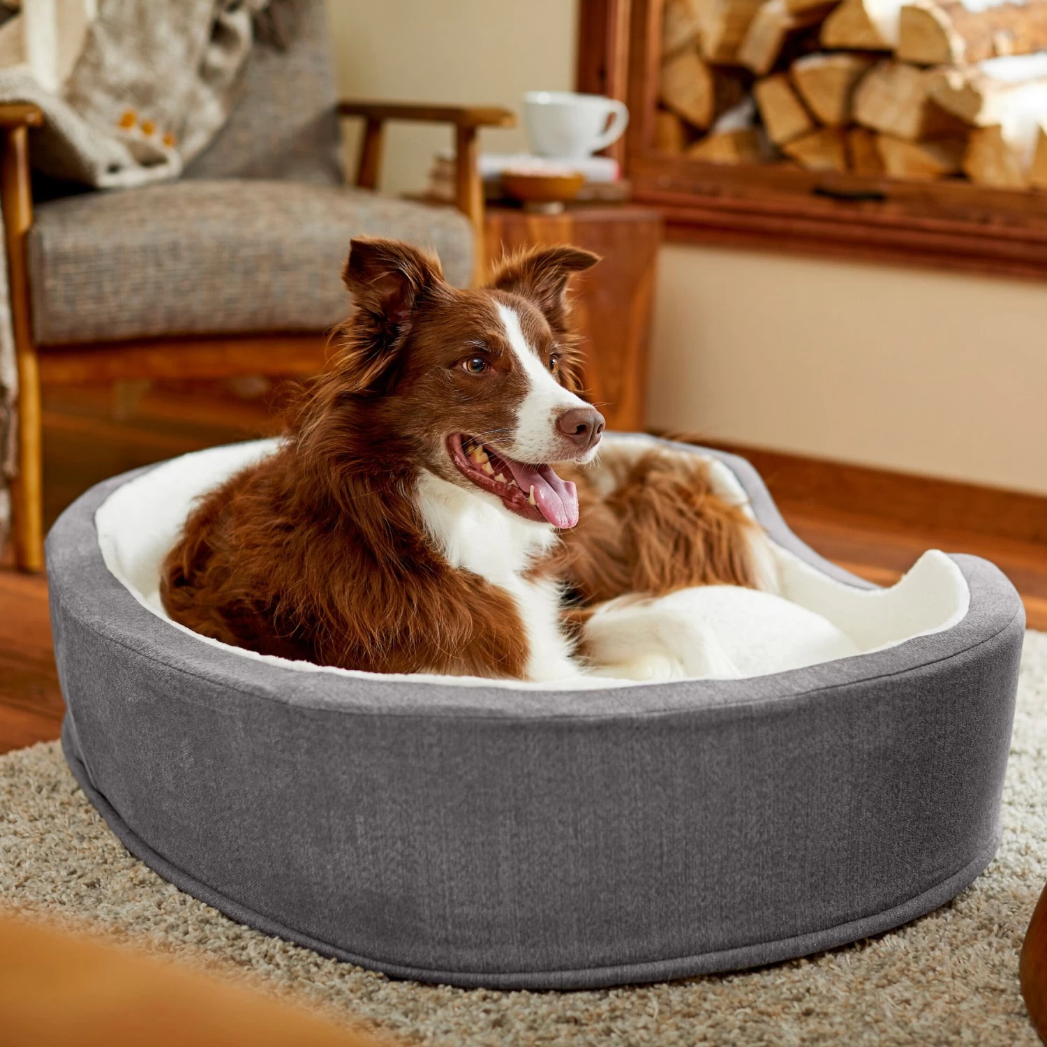 Frisco Bolster Cat & Dog Bed 1 Frisco Bolster Cat & Dog Bed