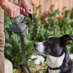 Frisco Large Size Dog Poop Bags With Fabric Dispenser 13 Frisco Large Size Dog Poop Bags With Fabric Dispenser -Frisco 237013 PT6. AC SS1800 V1610762789