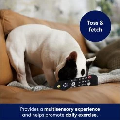 Frisco Zoomies & Chill Remote Latex Squeaky Dog Toy 8 Frisco Zoomies & Chill Remote Latex Squeaky Dog Toy -Frisco 241753 PT6. AC SS1800 V1686580150