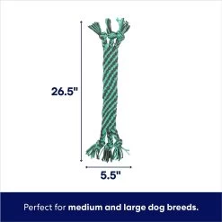 Frisco Flat Teal & Gray Braided Rope Squeaky Fetch Dog Toy 6 Frisco Flat Teal & Gray Braided Rope Squeaky Fetch Dog Toy -Frisco 242127 PT1. AC SS1800 V1695748353