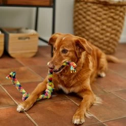 Frisco 4-Knot Tri-Color Rope Dog Toy -Frisco 242139 PT2. AC SS1800 V1605208764