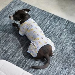 Frisco Sleepy Sloths Dog & Cat Jersey PJs 9 Frisco Sleepy Sloths Dog & Cat Jersey PJs -Frisco 249144 PT7. AC SS1800 V1614369158