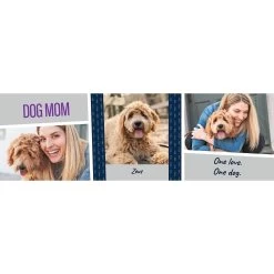 Frisco Double Walled "Dog Mom" Personalized Tumbler, 30-oz Cup 8 Frisco Double Walled "Dog Mom" Personalized Tumbler, 30-oz Cup -Frisco 250741 PT2. AC SS1800 V1602689509