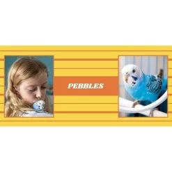 Frisco Double Walled Preppy Stripes Personalized Tumbler, 30-oz Cup 7 Frisco Double Walled Preppy Stripes Personalized Tumbler, 30-oz Cup -Frisco 250751 PT2. AC SS1800 V1606678620