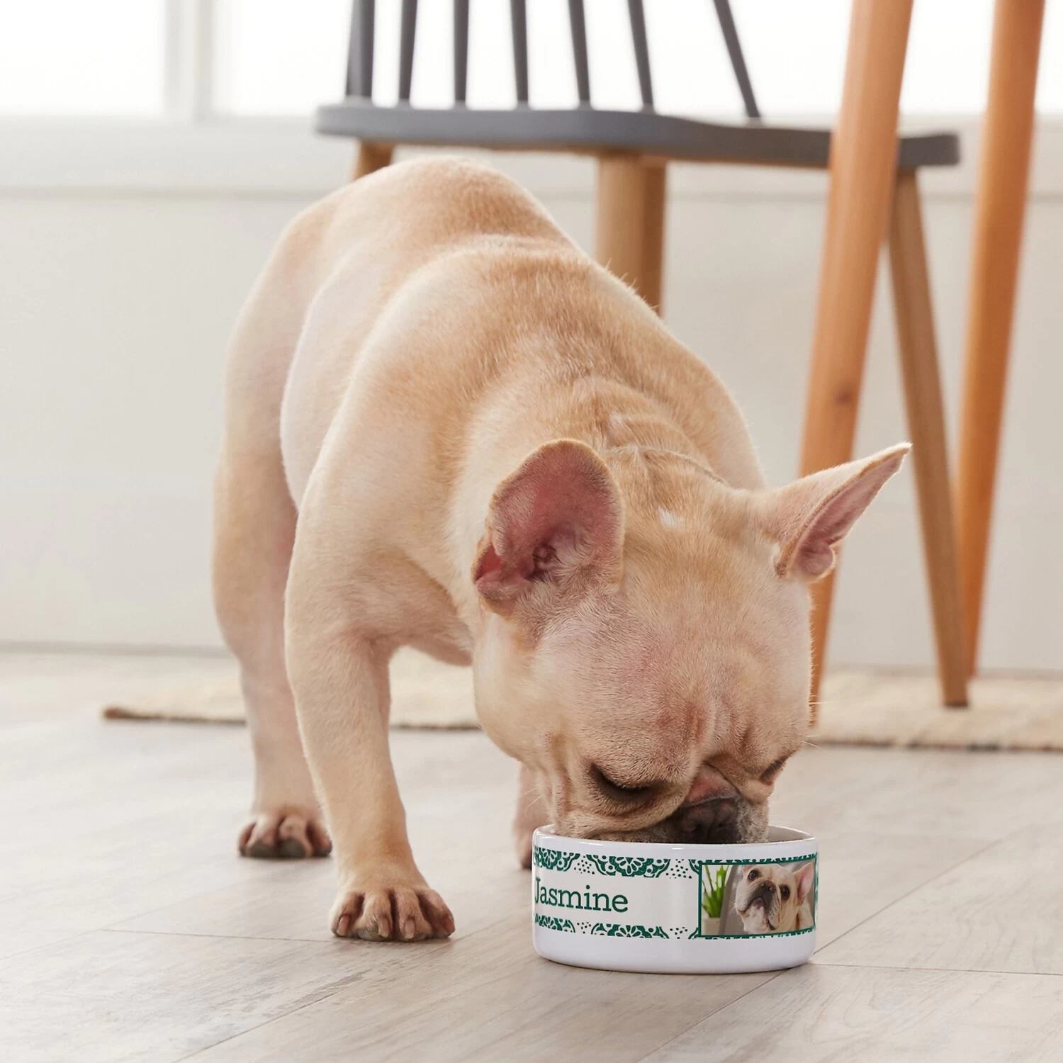 Frisco Boho Damask Ceramic Personalized Dog & Cat Bowl 4 Frisco Boho Damask Ceramic Personalized Dog & Cat Bowl - Image 4