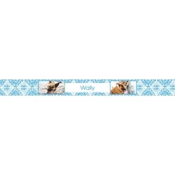 Frisco Boho Damask Ceramic Personalized Dog Bowl -Frisco 250835 PT2. AC SS1800 V1602633108