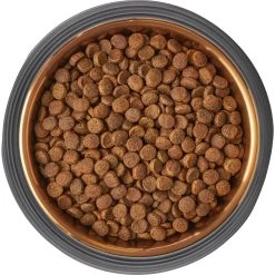 Frisco Matte Black Design Light Copper Stainless Steel Dog & Cat Bowl 13 Frisco Matte Black Design Light Copper Stainless Steel Dog & Cat Bowl -Frisco 253051 PT5. AC SS1800 V1616526794