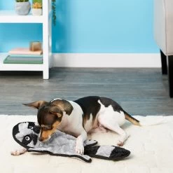 Frisco Alligator Stuffing-Free Flat Plush Squeaky Dog Toy & Frisco Raccoon Stuffing-Free Flat Plush Squeaky Dog Toy 9 Frisco Alligator Stuffing-Free Flat Plush Squeaky Dog Toy & Frisco Raccoon Stuffing-Free Flat Plush Squeaky Dog Toy -Frisco 255471 PT4. AC SS1800 V1602691287