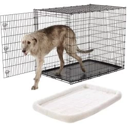 Frisco Heavy Duty Single Door Wire Dog Crate & Frisco Quilted Dog Crate Mat