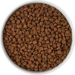 Frisco Paw Prints Non-skid Ceramic Bowl -Frisco 256072 PT5. AC SS1800 V1615312318