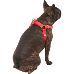 Frisco Outdoor Solid Textured Waterproof Stink Proof PVC Dog Harness -Frisco 256518 PT3. AC SS1800 V1625164999