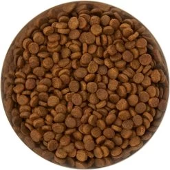 Frisco Flare Non-Skid Stainless Steel Dog & Cat Bowl 13 Frisco Flare Non-Skid Stainless Steel Dog & Cat Bowl -Frisco 257162 PT4. AC SS1800 V1612366692