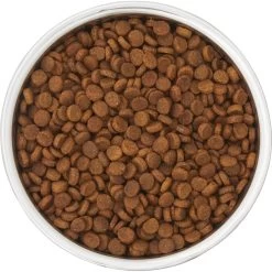 Frisco Insulated Two-Toned Non-Skid Stainless Steel Dog & Cat Bowl 11 Frisco Insulated Two-Toned Non-Skid Stainless Steel Dog & Cat Bowl -Frisco 257168 PT4. AC SS1800 V1612367255