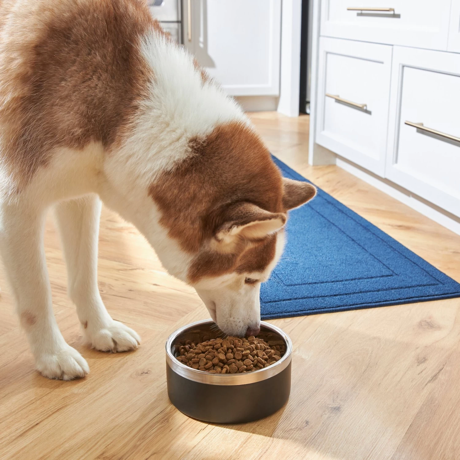 Frisco Insulated Two-Toned Non-Skid Stainless Steel Dog & Cat Bowl 7 Frisco Insulated Two-Toned Non-Skid Stainless Steel Dog & Cat Bowl - Image 7