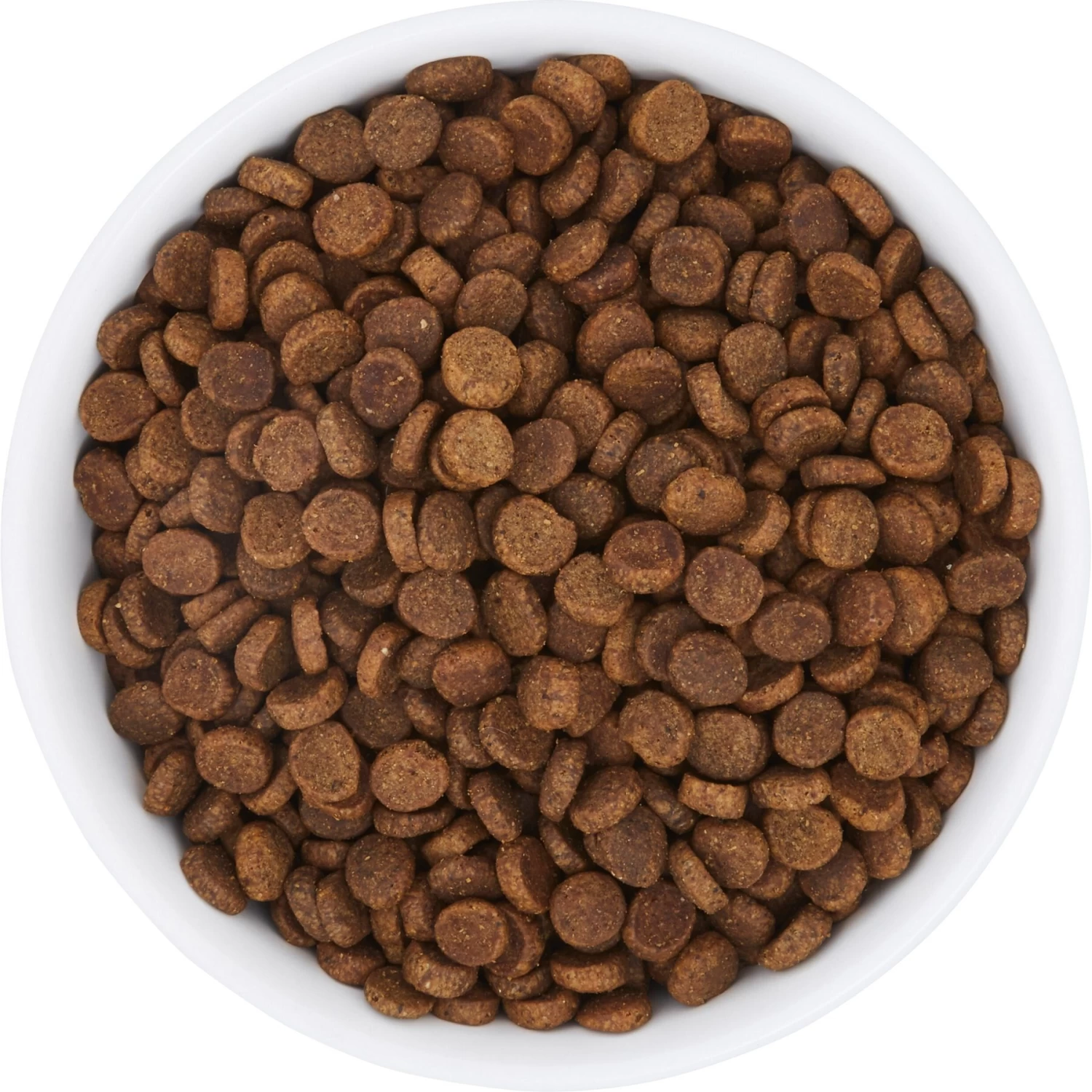 Frisco Bohemian Non-Skid Stainless Steel Dog & Cat Bowl 5 Frisco Bohemian Non-Skid Stainless Steel Dog & Cat Bowl - Image 5