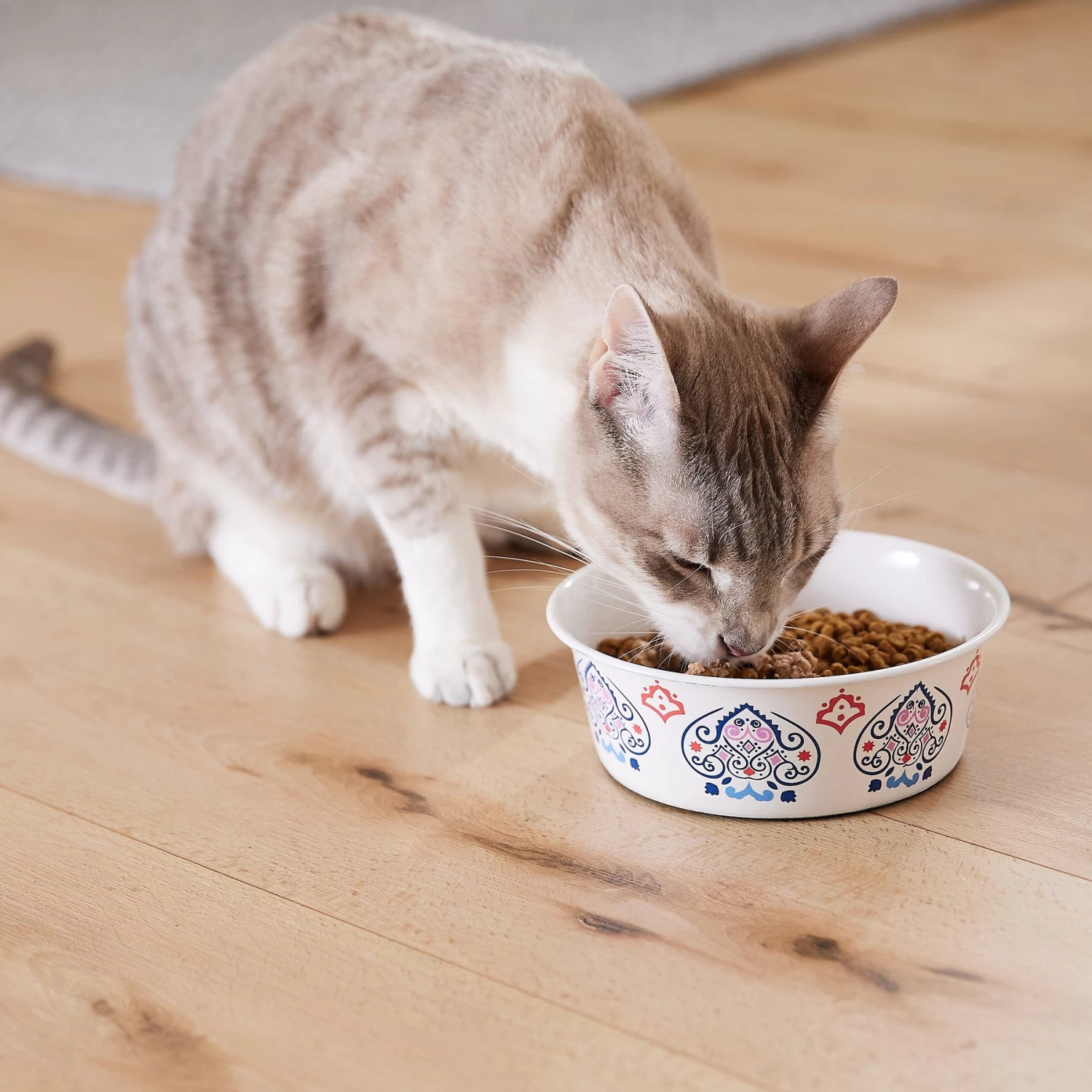 Frisco Bohemian Non-Skid Stainless Steel Dog & Cat Bowl 8 Frisco Bohemian Non-Skid Stainless Steel Dog & Cat Bowl - Image 8