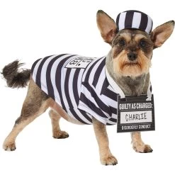 Frisco Prisoner Dog & Cat Costume