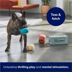 Frisco Macaron Interactive Plush Squeaky Dog Toy 10 Frisco Macaron Interactive Plush Squeaky Dog Toy -Frisco 264438 PT5. AC SS1800 V1686579089