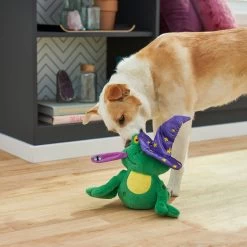 Frisco Magic Wizard Frog Plush Squeaky Dog Toy -Frisco 265588 PT3. AC SS1800 V1620939075