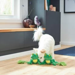 Frisco Magic Frog Plush With Rope Squeaky Dog Toy 5 Frisco Magic Frog Plush With Rope Squeaky Dog Toy -Frisco 265606 PT3. AC SS1800 V1620938889