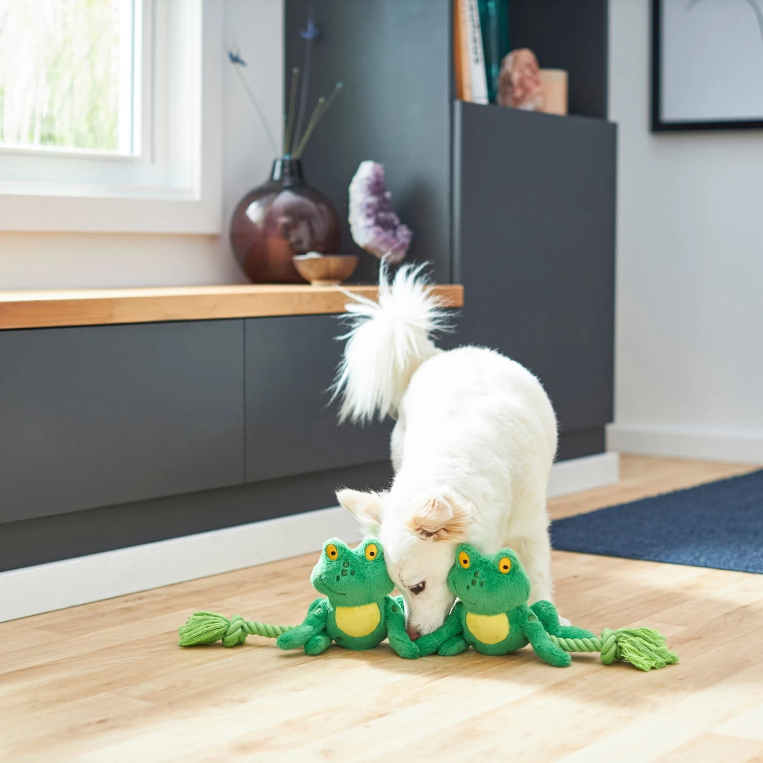 Frisco Magic Frog Plush With Rope Squeaky Dog Toy 3 Frisco Magic Frog Plush With Rope Squeaky Dog Toy - Image 3