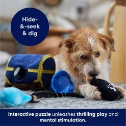 Frisco Magic Chest Hide & Seek Puzzle Plush Squeaky Dog Toy -Frisco 265614 PT5. AC SS1800 V1695760957