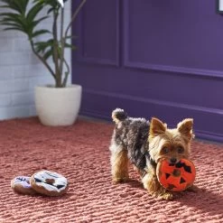 Frisco Halloween Donuts Plush Squeaky Dog Toy 7 Frisco Halloween Donuts Plush Squeaky Dog Toy -Frisco 270369 PT3. AC SS1800 V1624817409