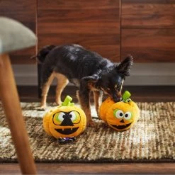 Frisco Halloween Nerdy Jack-o-Lanterns Plush Squeaky Dog Toy -Frisco 270431 PT3. AC SS1800 V1624817796