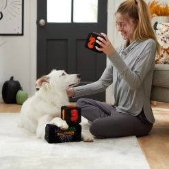 Frisco Halloween 30 Days Of Halloween Countdown Blocks Plush Squeaky Dog Toy -Frisco 270494 PT3. AC SS1800 V1624817483