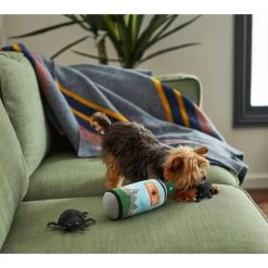 Frisco Camping Bug Spray Plush Squeaky Dog Toy, 3 Count 5 Frisco Camping Bug Spray Plush Squeaky Dog Toy, 3 Count -Frisco 270989 PT3. AC SS1800 V1625009020