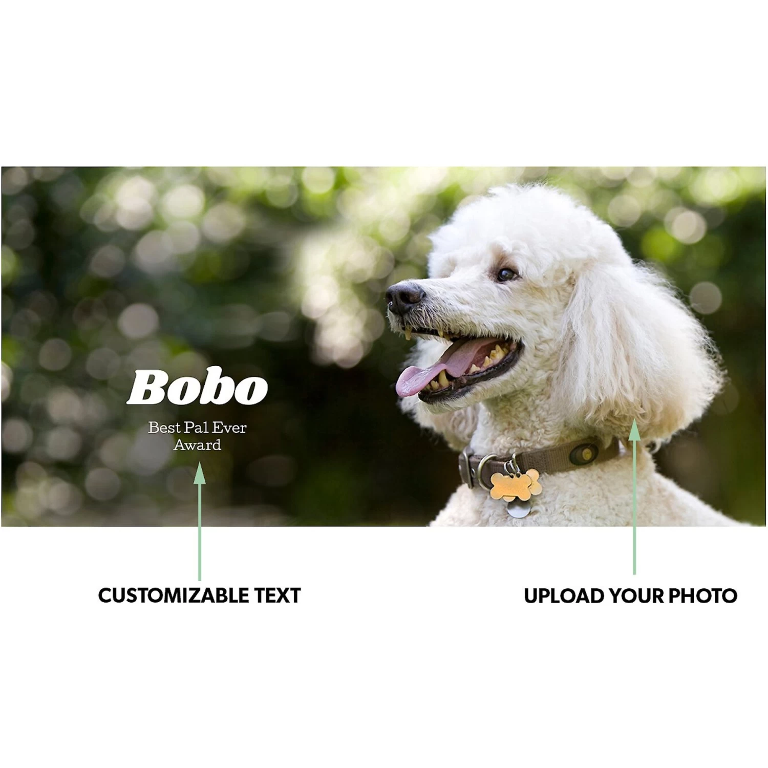 Frisco Basic Insulated Stainless Steel Personalized Mug, 10-oz 2 Frisco Basic Insulated Stainless Steel Personalized Mug, 10-oz - Image 2