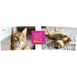 Frisco "Classic" Double Walled Personalized Tumbler. 30-oz 6 Frisco "Classic" Double Walled Personalized Tumbler. 30-oz -Frisco 272541 PT2. AC SS1800 V1625686095