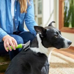 Frisco Soft Slicker Dog Brush, One Size & Frisco Deshedding Dog & Cat Brush 10 Frisco Soft Slicker Dog Brush, One Size & Frisco Deshedding Dog & Cat Brush -Frisco 276229 PT3. AC SS1800 V1616194590