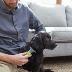 Frisco Soft Slicker Dog Brush, One Size & Frisco Deshedding Dog & Cat Brush 13 Frisco Soft Slicker Dog Brush, One Size & Frisco Deshedding Dog & Cat Brush -Frisco 276229 PT6. AC SS1800 V1616191886