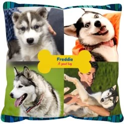 Frisco "Contemporary #2" Throw Pillow 16 X 16 -Frisco 276901 PT2. AC SS1800 V1625686286