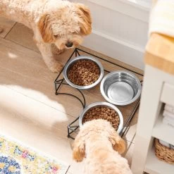 Frisco Multi Pet Feeding Corner 3-Bowls Stainless Steel Dog & Cat Bowl -Frisco 277561 PT2. AC SS1800 V1630346973