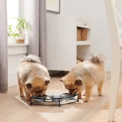 Frisco Multi Pet Feeding 3-Bowls Curved Stainless Steel Dog & Cat Bowl -Frisco 277563 PT2. AC SS1800 V1630346186