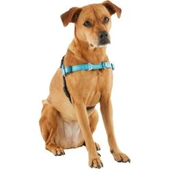 Frisco Padded Reflective No Pull Harness 8 Frisco Padded Reflective No Pull Harness -Frisco 277892 PT3. AC SS1800 V1629758833