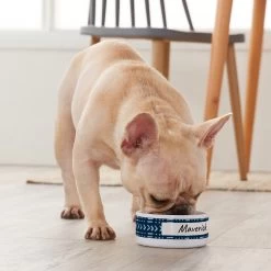 Frisco Personalized Mudcloth Small Dog & Cat Bowl -Frisco 278936 PT3. AC SS1800 V1629147692