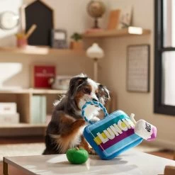 Frisco Back To School Lunchbox With Juice & Apple Plush With Rope Squeaky Dog Toy -Frisco 279427 PT3. AC SS1800 V1628191372