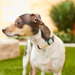 Frisco Pastel Tie Dye Polyester Personalized Dog Collar -Frisco 280770 PT4. AC SS1800 V1621275733