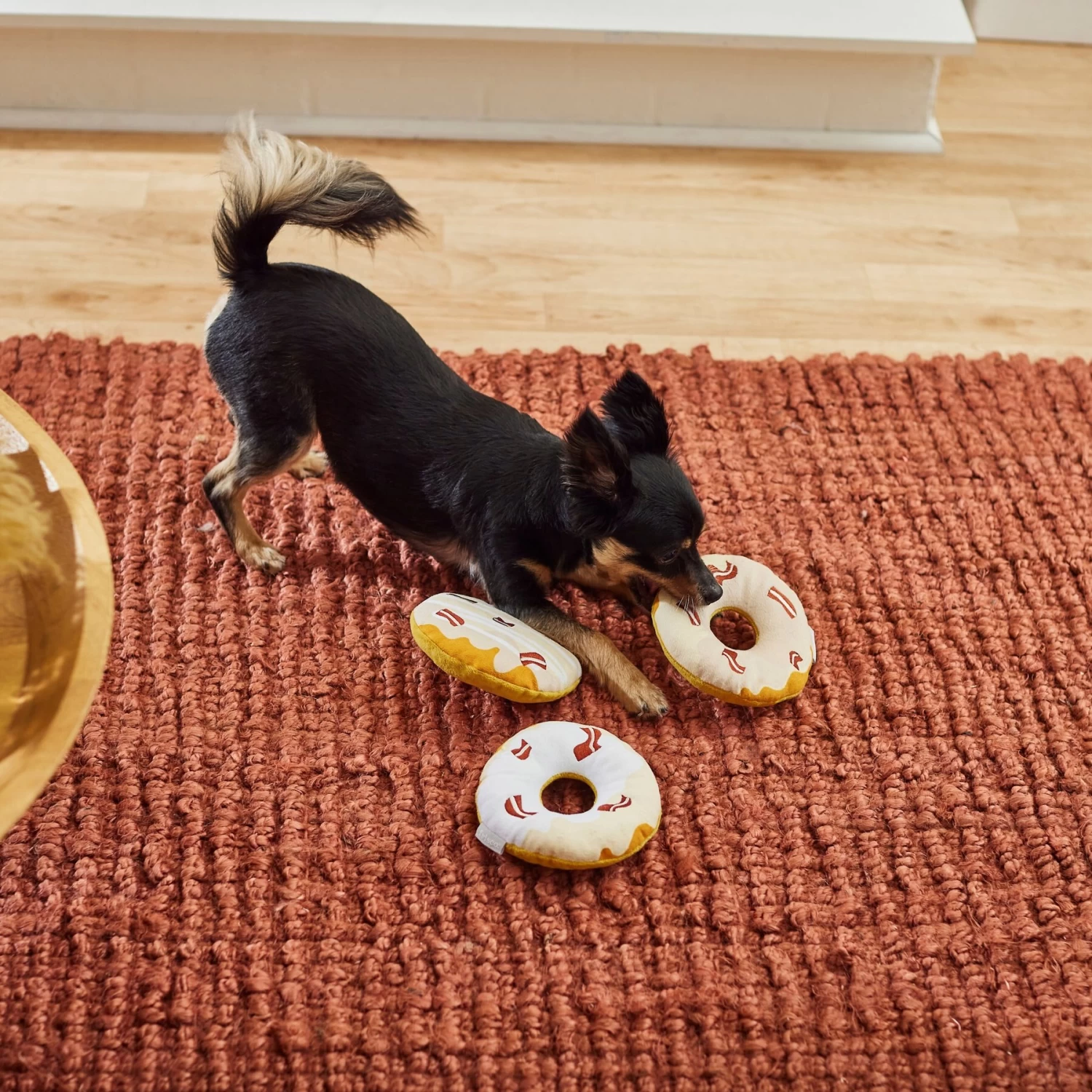 Frisco Fall Maple Bacon Donuts Plush Squeaky Dog Toy, 3 Count 4 Frisco Fall Maple Bacon Donuts Plush Squeaky Dog Toy, 3 Count - Image 4