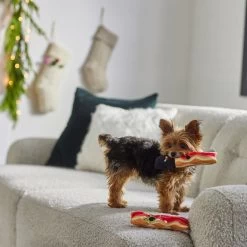 Frisco Holiday Bacon Plush Squeaky Dog Toy, 2 Count 5 Frisco Holiday Bacon Plush Squeaky Dog Toy, 2 Count -Frisco 287143 PT3. AC SS1800 V1632774888