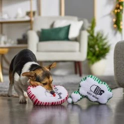 Frisco Holiday Thought Bubble Plush Squeaky Dog Toy, 2 Count 5 Frisco Holiday Thought Bubble Plush Squeaky Dog Toy, 2 Count -Frisco 287195 PT3. AC SS1800 V1632772983