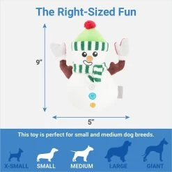 Frisco Holiday Naughty Or Nice Snowman Reversible Plush Squeaky Dog Toy 6 Frisco Holiday Naughty Or Nice Snowman Reversible Plush Squeaky Dog Toy -Frisco 287219 PT2. AC SS1800 V1637704003