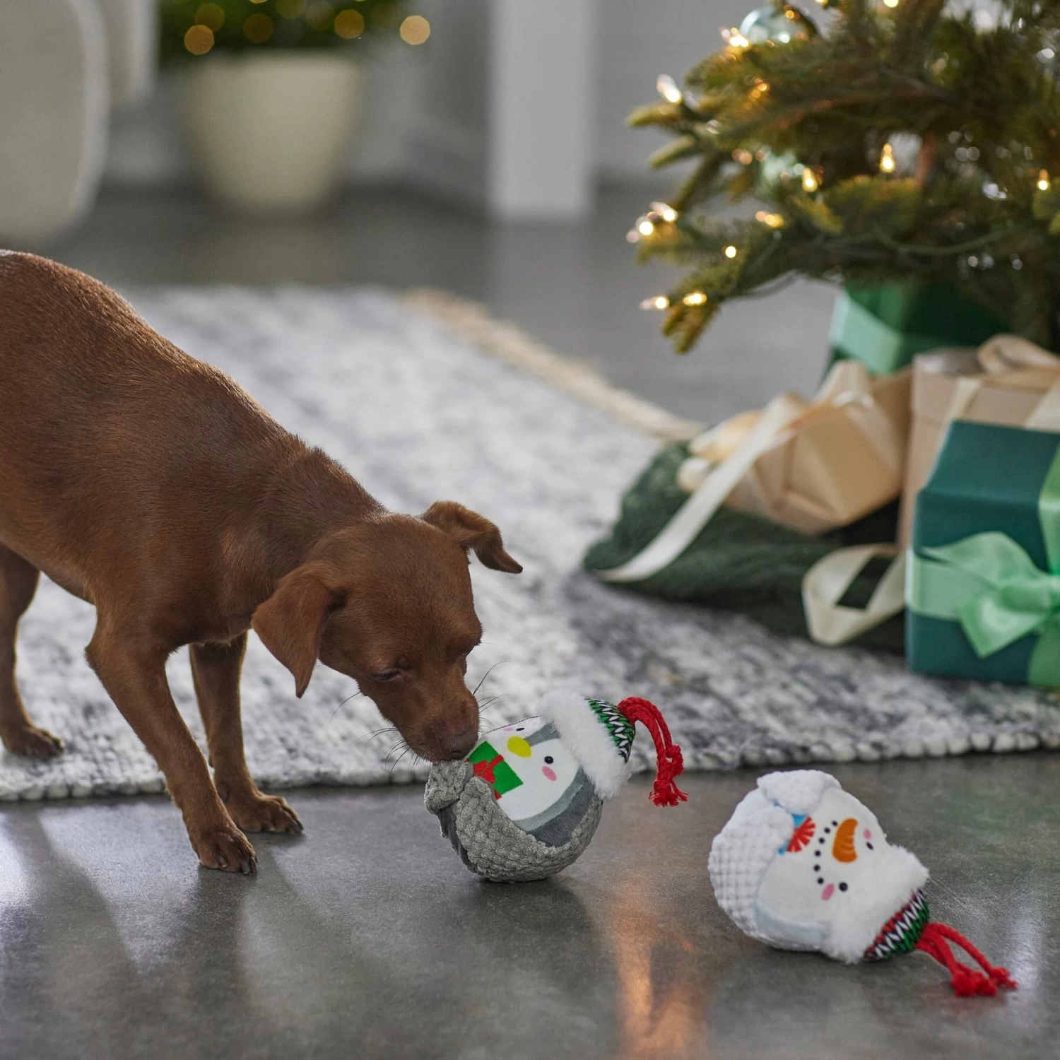 Frisco Holiday Penguin & Snowman Plush Squeaky Dog Toy 3 Frisco Holiday Penguin & Snowman Plush Squeaky Dog Toy - Image 3
